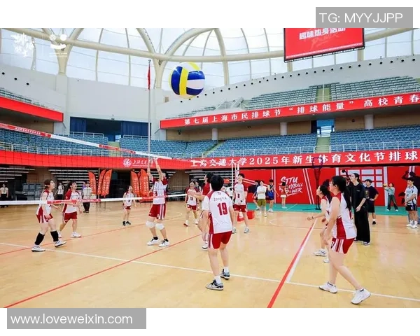 上海排球队战术创新引领潮流排球战术排名再创佳绩