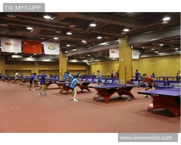 乒乓球盛宴揭秘上海乒乓球队的训练与竞技状态分析