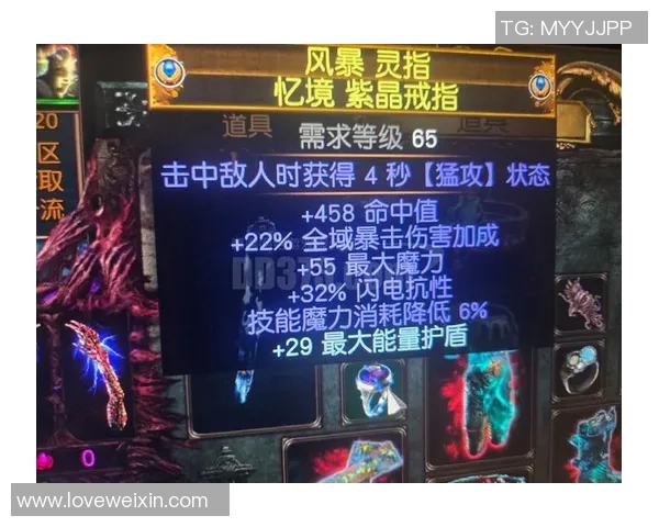 深度对话杨磊探寻英雄联盟背后的成长与挑战之路