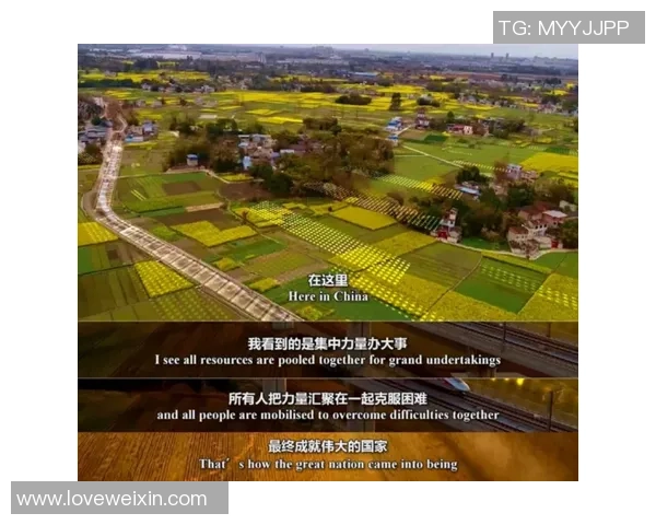 武汉足球队的耐力揭秘与训练背后的故事与坚持 武汉足球队的耐力揭秘与训练背后的故事与坚持