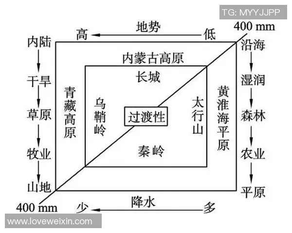 西安羽毛球队的战术解析与训练秘诀深度探讨