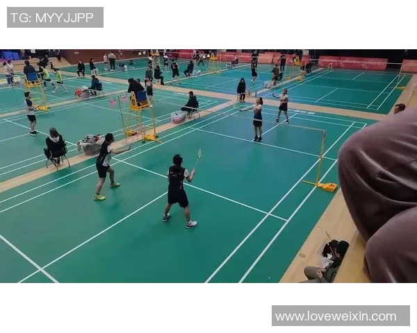 羽毛球战术解析：深入探讨上海羽毛球队的灵活转换体系与实战应用